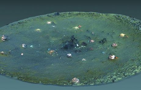 Mỹ: Phát hiện 15.000 hố bí ẩn xuất hiện dưới đáy biển