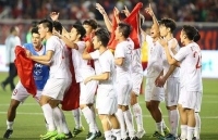 the thao viet nam tu sea games huong toi olympic 2020