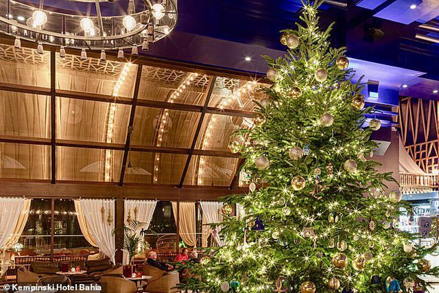 chiem nguong cay thong noel dat nhat the gioi tri gia hon 367 ty dong