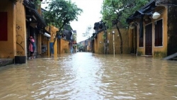 Dự báo thời tiết ngày và đêm nay (2/12): Bắc Bộ, Bắc Trung Bộ sáng và đêm trời rét; Trung Bộ mưa to; Tin lũ khẩn cấp