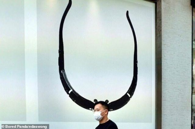 Những khoảnh khắc tình cờ và cũng thật bất ngờ Những khoảnh khắc tình cờ và cũng thật bất ngờ