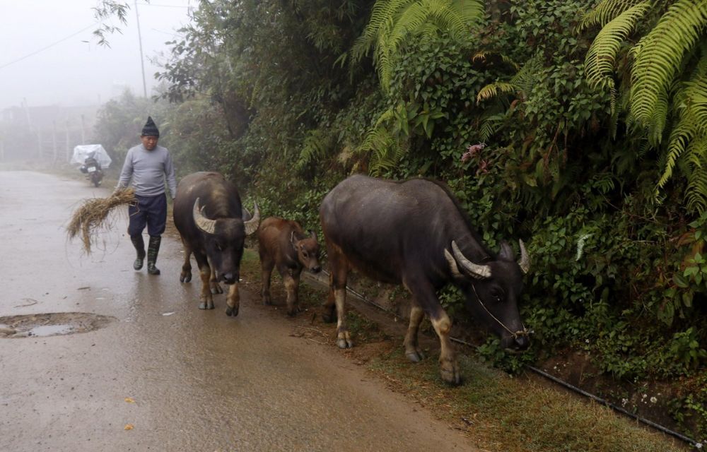 Dự báo thời tiết đêm nay và ngày mai (6-7/12): Bắc Bộ và Bắc Trung Bộ trời tiết tục rét, vùng núi cao có băng giá và sương muối Dự báo thời tiết đêm nay và ngày mai (6-7/12): Bắc Bộ và Bắc Trung Bộ trời tiết tục rét, vùng núi cao có băng giá và sương muối