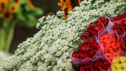 Dự báo thời tiết 3 ngày tới (10-12/12): Miền Bắc và Thanh Hóa, Nghệ An tăng nhiệt, trời rét về đêm và sáng