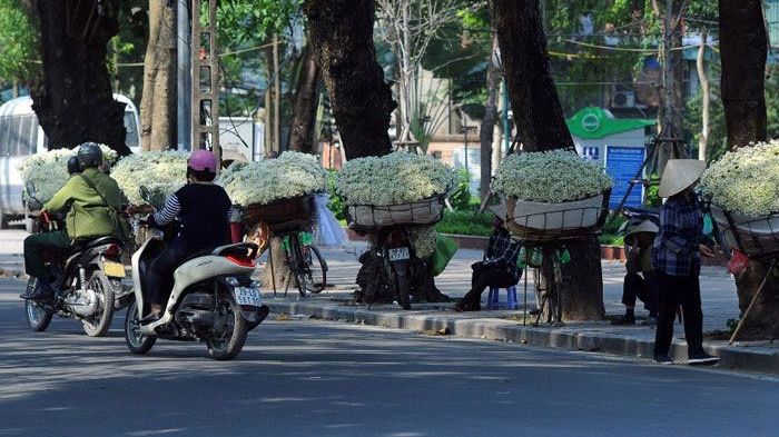 Dự báo thời tiết ngày và đêm nay (12/12): Miền Bắc sáng sớm và đêm trời rét, Nam Bộ ngày có mưa rào, dông vài nơi