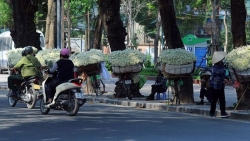Dự báo thời tiết ngày và đêm nay (12/12): Miền Bắc sáng sớm và đêm trời rét, Nam Bộ ngày có mưa rào, dông vài nơi
