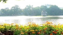 Dự báo thời tiết 3 ngày tới (11-13/12): Bắc Bộ, Bắc Trung Bộ trời ấm dần, chỉ rét về đêm và sáng. Nam Trung Bộ, Tây Nguyên, Nam Bộ mưa dông vài nơi