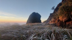 Dự báo thời tiết đêm nay và ngày mai (21-22/12): Bắc Bộ, Bắc Trung Bộ trời rét, vùng núi cao băng giá. Trung Bộ, Tây Nguyên, Nam Bộ mưa to