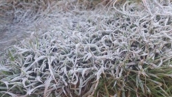 Dự báo thời tiết 3 ngày tới (22-24/12): Bắc Bộ có nơi rét đậm rét hại; áp thấp nhiệt đới, Trung Bộ, Nam Bộ mưa to đến rất to