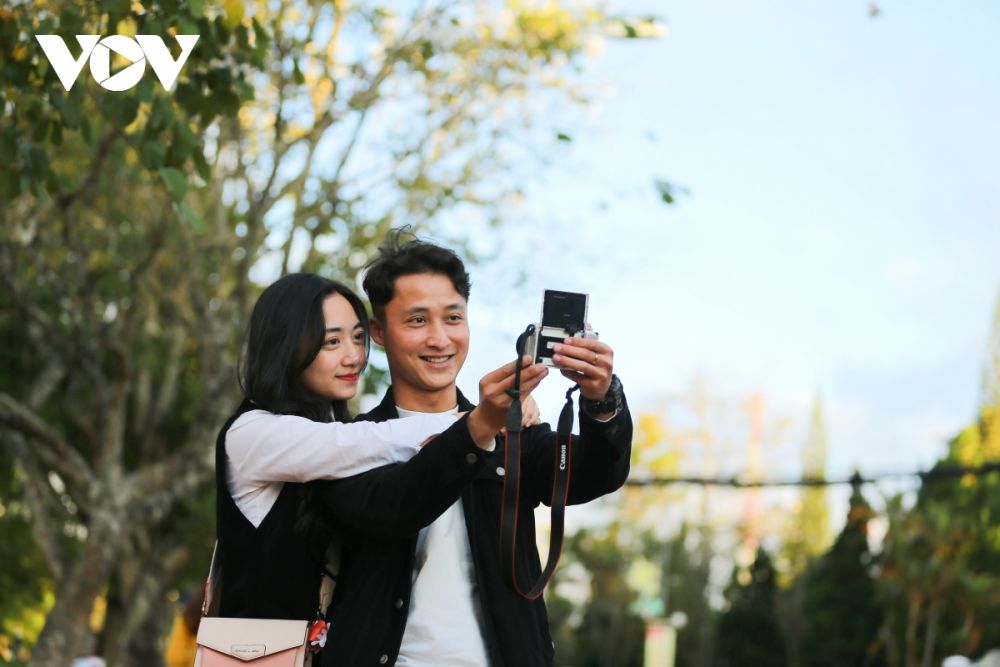 Ngắm hoa ban trắng Tây Bắc bung nở ở Đà Lạt