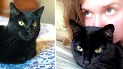 Bức ảnh cảm động thể hiện tình yêu thương của con người với những chú chó, mèo bị bỏ rơi