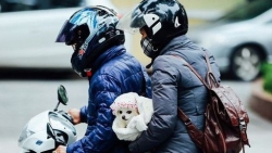 Dự báo thời tiết đêm nay và ngày mai (29-30/12): Không khí lạnh rất mạnh; Bắc Bộ, Bắc Trung Bộ rét đậm rét hại; Trung Bộ mưa to; Hà Nội nền nhiệt thấp