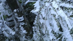 Dự báo thời tiết ngày và đêm nay (30/12): Bắc Bộ rét đậm rét hại, vùng núi cao dưới 4 độ; Trung Bộ mưa to; Tây Nguyên, Nam Bộ ngày nắng