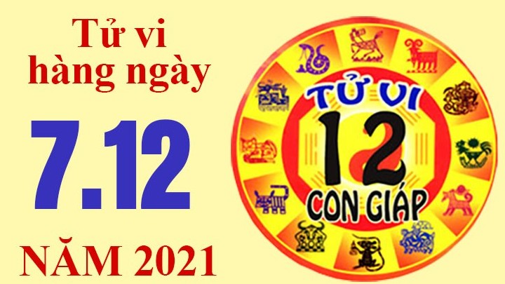 Tử vi hôm nay, xem tử vi 12 con giáp ngày 7/12/2021: Tuổi Tỵ công việc được giúp đỡ