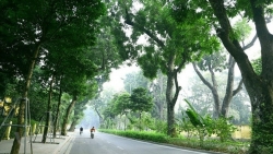 Dự báo thời tiết đêm nay và ngày mai (12-13/12): Bắc Bộ, Bắc Trung Bộ đêm và sáng trời rét; Trung Bộ mưa rào và dông; Nam Bộ đêm mưa dông, ngày nắng