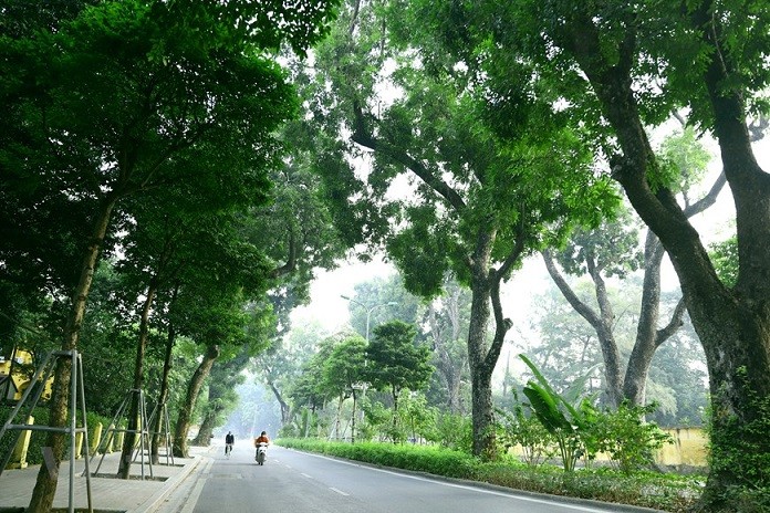 Dự báo thời tiết đêm nay và ngày mai (12-13/12): Bắc Bộ, Bắc Trung Bộ đêm và sáng trời rét; Trung Bộ mưa rào và dông; Nam Bộ đêm mưa dông, ngày nắng