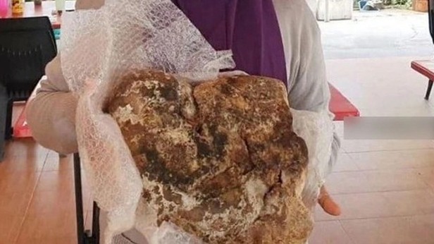 Người phụ nữ Malaysia tìm được khối long diên hương giá trị lớn