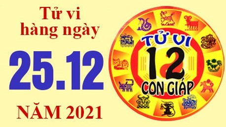 Tử vi hôm nay, xem tử vi 12 con giáp ngày 25/12/2021: Tuổi Tỵ tin vui về tiền bạc