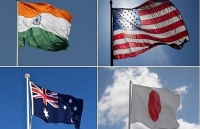 khu vuc an do duong thai binh duong 5 xu the chinh