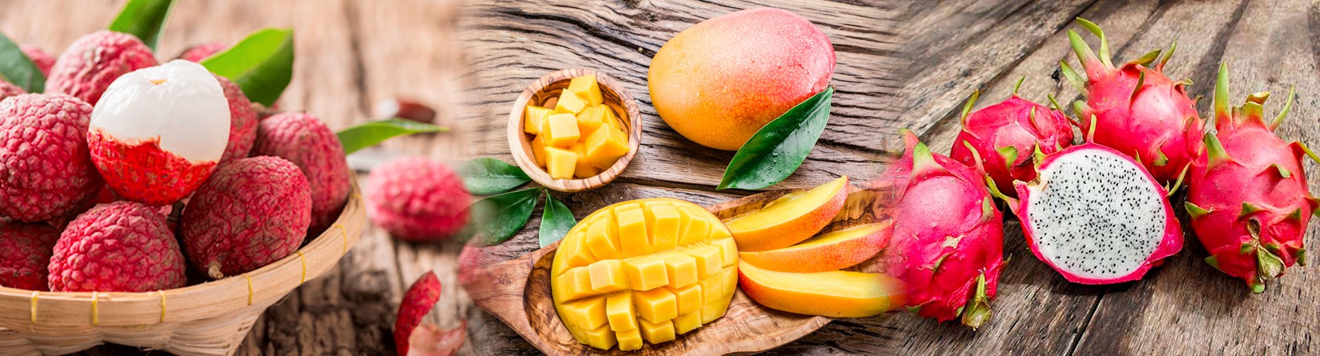 Hợp tác kinh tế Việt Nam-ASEAN: Sôi động và ‘gặt hái’ nhiều kết quả thiết thực