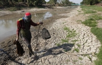 Chính phủ Thái Lan hỗ trợ nông dân gieo trồng lúa bất chấp cảnh báo hạn hán