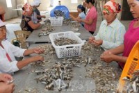 adb cho vay 20 trieu usd ho tro cac doanh nghiep xuat khau