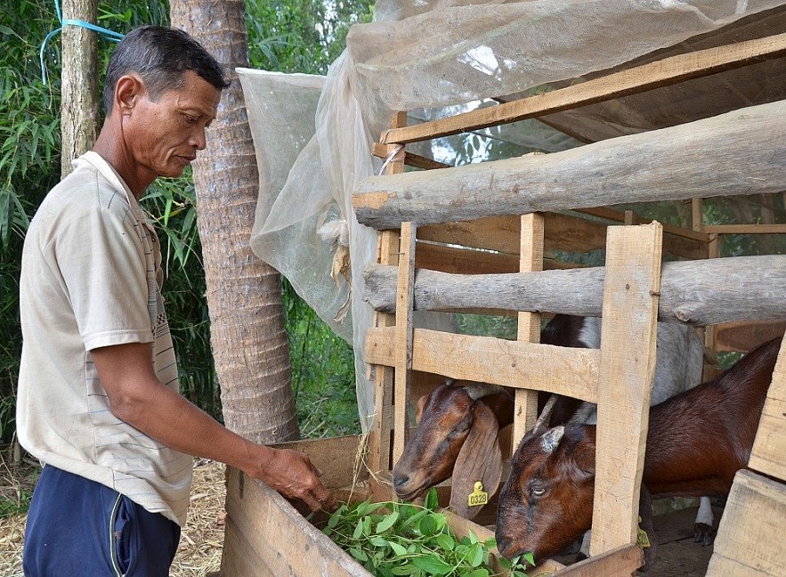 Báo chí Campuchia thông tin đậm nét về những đổi thay trong đời sống của đồng bào Khmer ở Việt Nam