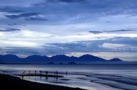 thu tuong xin loi viec doan xe cong di vao pho co hoi an