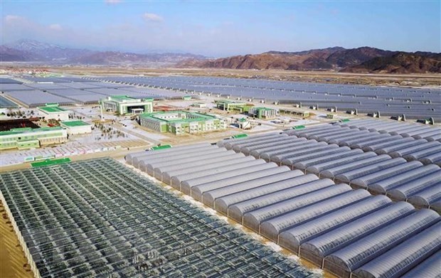 Hàn Quốc hối thúc Triều Tiên phản hồi đề xuất viện trợ kinh tế Hàn Quốc hối thúc Triều Tiên phản hồi đề xuất viện trợ kinh tế