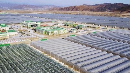 Hàn Quốc hối thúc Triều Tiên phản hồi về một sự đánh đổi 'táo bạo'