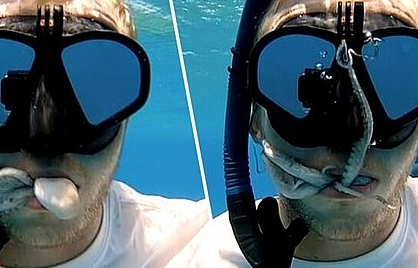 Nhầm tưởng là chỗ trú ẩn, bạch tuộc chui tọt vào miệng du khách