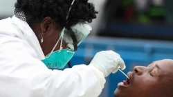 Nam Phi sẵn sàng chia sẻ mẫu biến thể Omicron nhằm sớm tìm ra giải pháp ứng phó