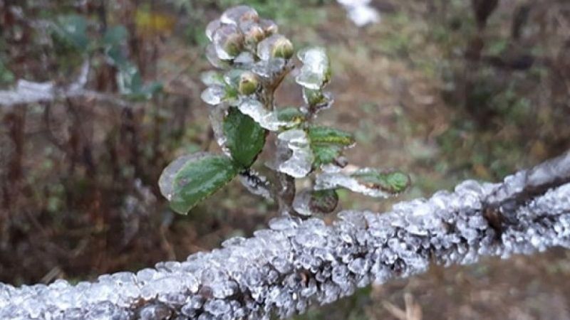 Miền Bắc những ngày tới tiếp tục rét đậm, rét hại, nguy cơ xuất hiện băng giá