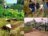 tao cau noi giua bao chi va cac to chuc xa hoi