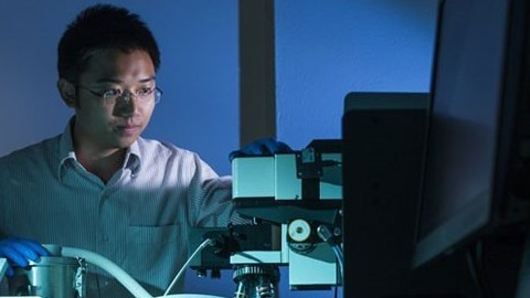 Australia tài trợ nhóm nghiên cứu người Việt phát triển pin Mặt trời thế hệ mới