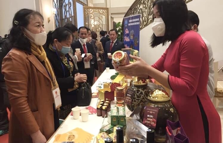 Hoạt động ý nghĩa đầu tiên của Xuân Quê hương 2022 tại tỉnh Vĩnh Phúc Hoạt động ý nghĩa đầu tiên của Xuân Quê hương 2022