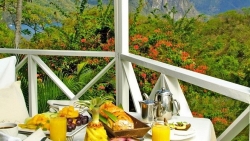 Du lịch thuần chay - xu hướng của năm 2022