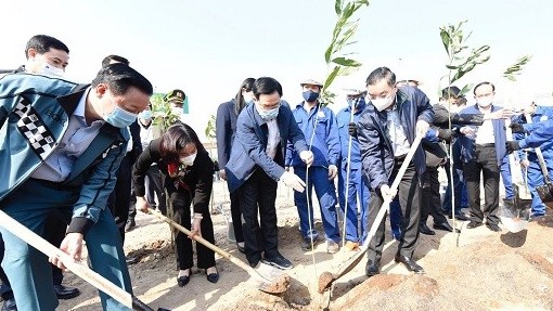 Hà Nội phát động Tết trồng cây Xuân Tân Sửu 2021