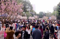 trai nghiem van hoa du lich thu vi tai xu so hoa anh dao