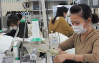 Doanh nghiệp Nhật bảo vệ thực tập sinh Việt Nam trước dịch Covid-19