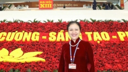Đại sứ Nguyễn Phương Nga trên các mặt trận đối ngoại