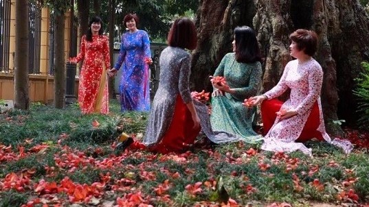 Hà Nội mở tour du lịch 'Bác Cổ - Mùa hoa gạo'