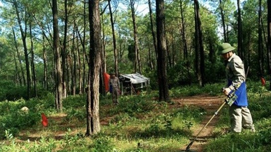 Triển khai dự án Làng Hòa bình Việt Nam-Hàn Quốc tại ba tỉnh miền Trung