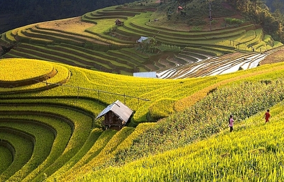 Check in Việt Nam qua những trải nghiệm vô giá