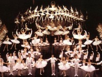 nhac kich con doi cua johann strauss len san khau viet nam