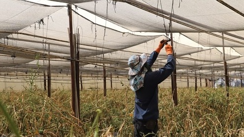 Xung đột Israel-Palestine: Tu nghiệp sinh Việt Nam cùng nhau vượt khó