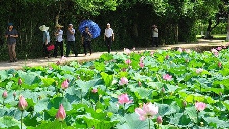 'Người Mẹ làng Sen': Chương trình nghệ thuật kỷ niệm 132 năm ngày sinh Chủ tịch Hồ Chí Minh