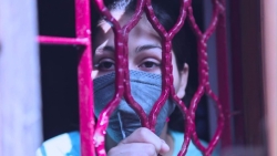 Tổ chức Quốc tế về Bảo tồn Thiên nhiên cảnh báo một đại dịch mới bắt nguồn từ động vật xuất hiện