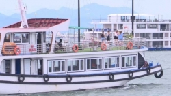 Mở cửa du lịch nội tỉnh, Quảng Ninh đón gần 30.000 lượt du khách