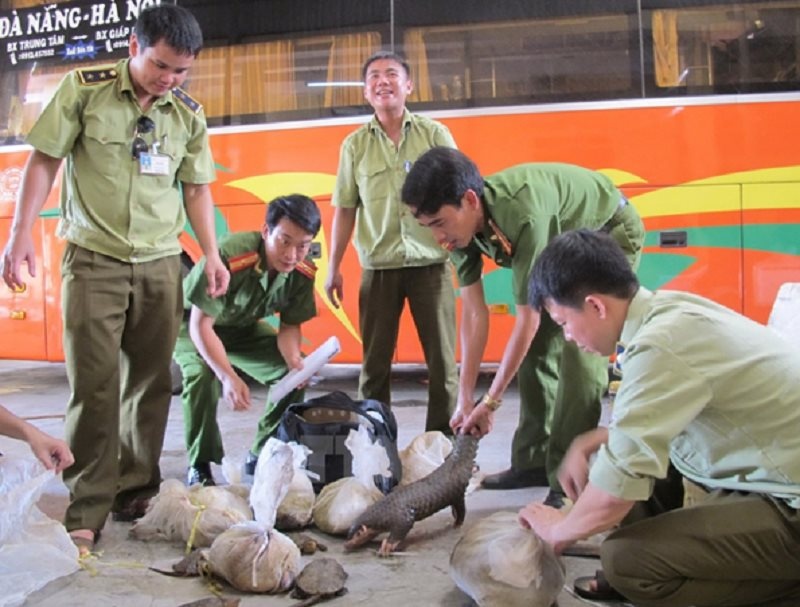 WWF hoan nghênh Chỉ thị mới của Thủ tướng Chính phủ nhằm thắt chặt nạn buôn bán động vật hoang dã wwf hoan nghenh chi thi moi cua thu tuong chinh phu nham that chat nan buon ban dong vat hoang da