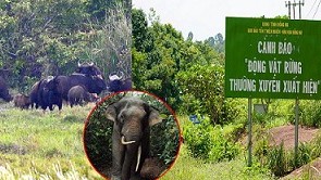 Khu bảo tồn thiên nhiên - văn hoá Đồng Nai sẽ trở thành Vườn di sản ASEAN?